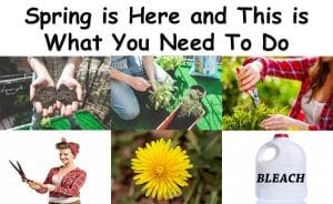 Find a nearby Southern California garden center or nursery to get everything you need for your SoCal garden this spring.