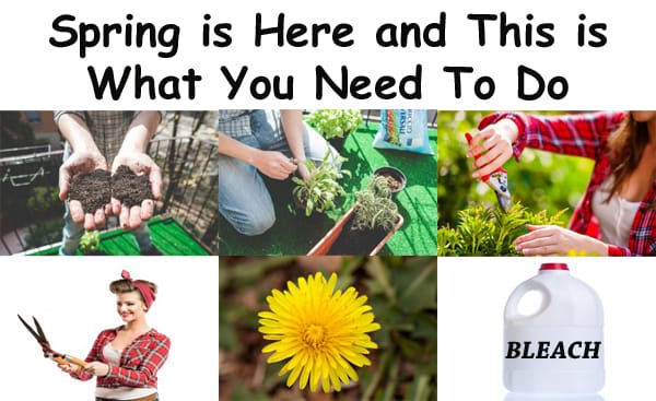 Find a nearby Southern California garden center or nursery to get everything you need for your SoCal garden this spring.