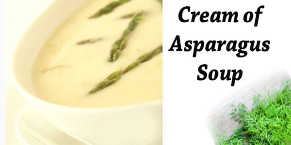 Cream of asparagus soup from a SoCal garden center's plant nursery.