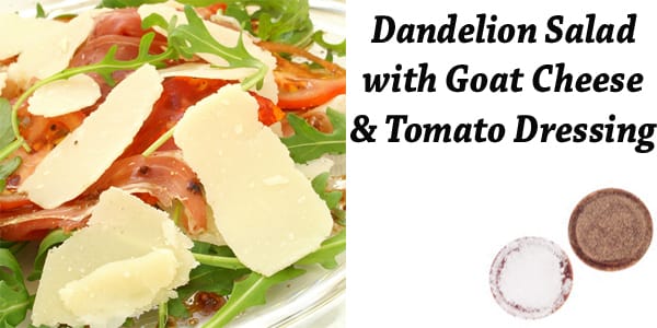 Salad with goat cheese and tomato dressing from a Southern California garden center.