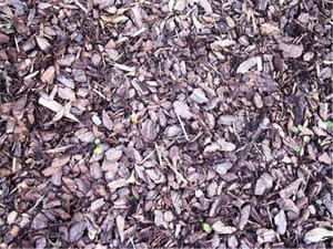 A pile of brown mulch at a SoCal garden center.