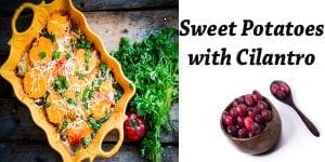 Southern California garden center offering sweet potatoes with clántro.