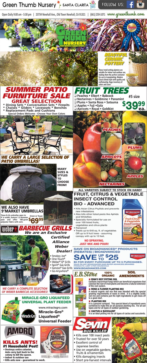 A premier Southern California plant nursery and garden center serving customers near me with an extensive selection of green throne varieties.