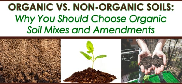 Why choose organic soil mixes and amendments at your Southern California plant nursery.
