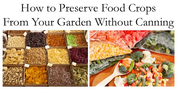 Guide to preserving garden crops without canning utilizing local plant nursery resources in Southern California.
