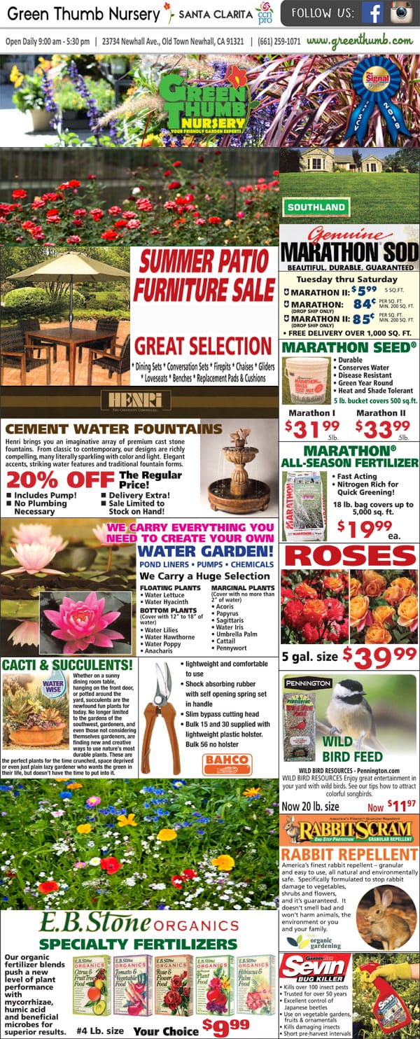 A newspaper showcasing an abundant assortment of plants and flowers from a nearby garden center.