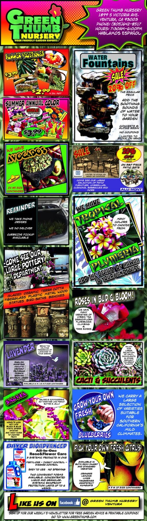 A flyer showcasing a diverse array of pictures from a local garden center.