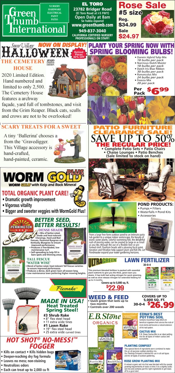 The front page of the green international magazine featuring a garden center near me.