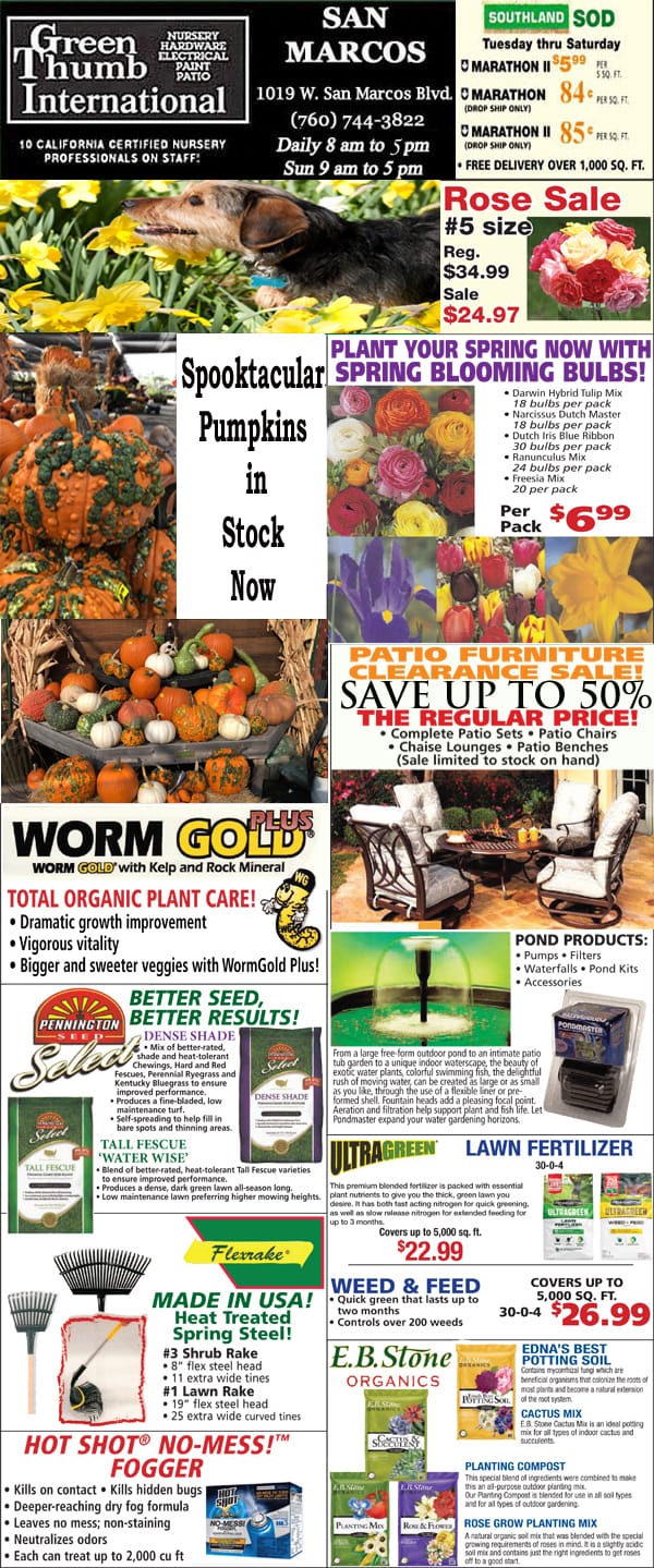 The front page of a newspaper featuring the best garden center near me.