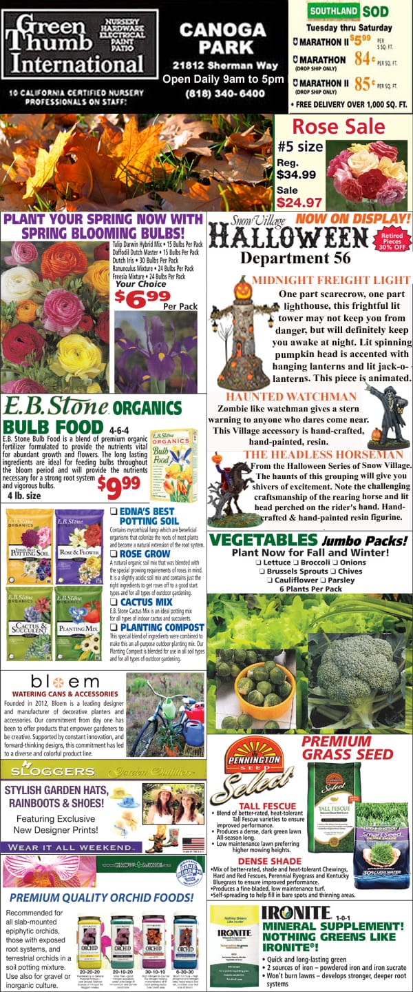 The front page of the flower international magazine featuring the best garden center near me.
