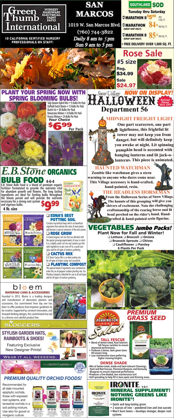 A front-page showcasing a diverse range of products from the best nursery near me.