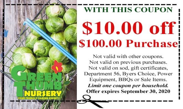 Green nursery brussels sprouts discount coupon.