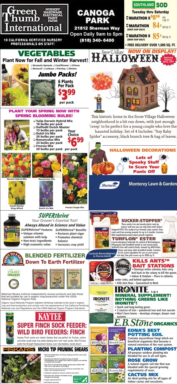 A flyer showcasing a diverse range of items available at the best nursery near me.