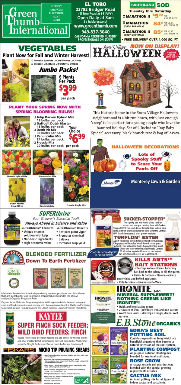 The front page of the best nursery near me showcased in the green international magazine.