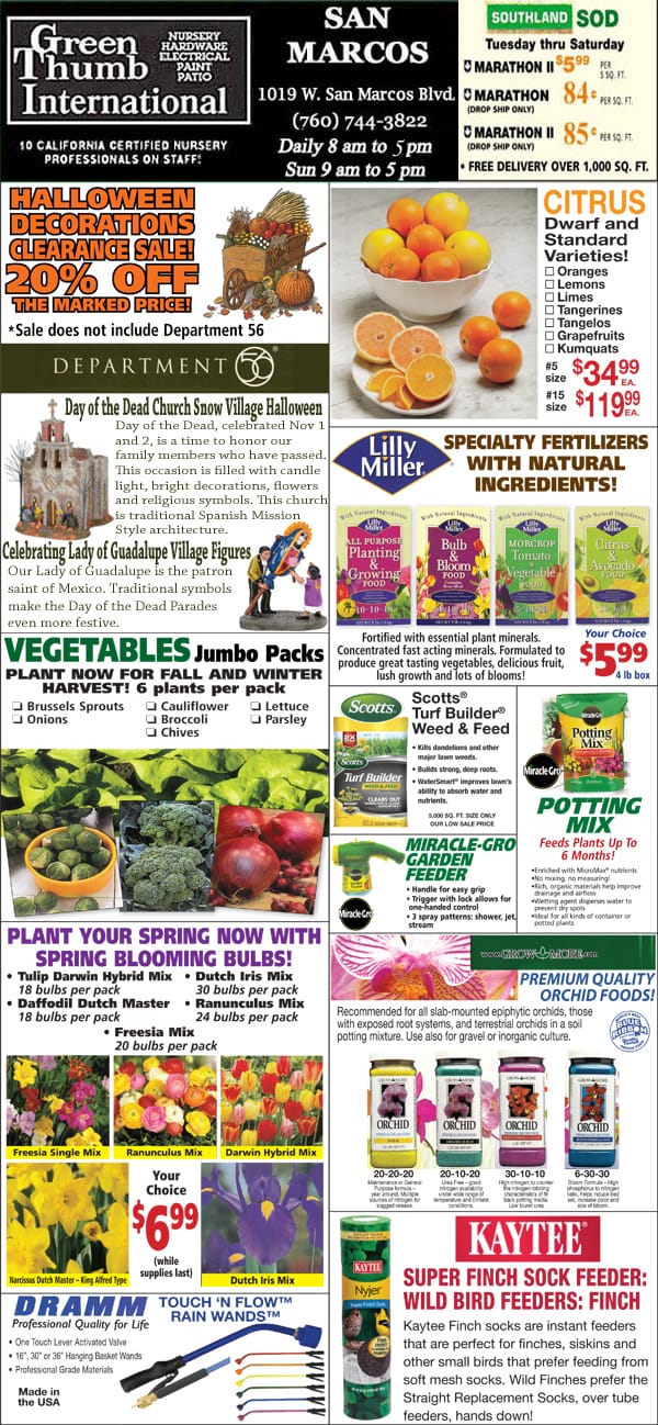 A flyer showcasing a variety of fruits and vegetables found at the best nursery near me.