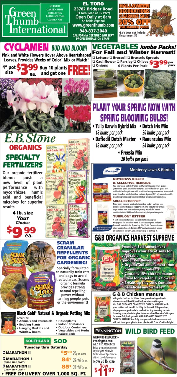 The front page of the best nursery near me magazine.