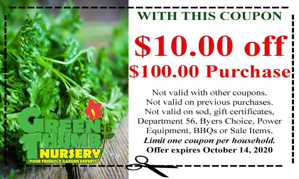 A coupon featuring a picture of parsley for a nearby nursery in Southern California.