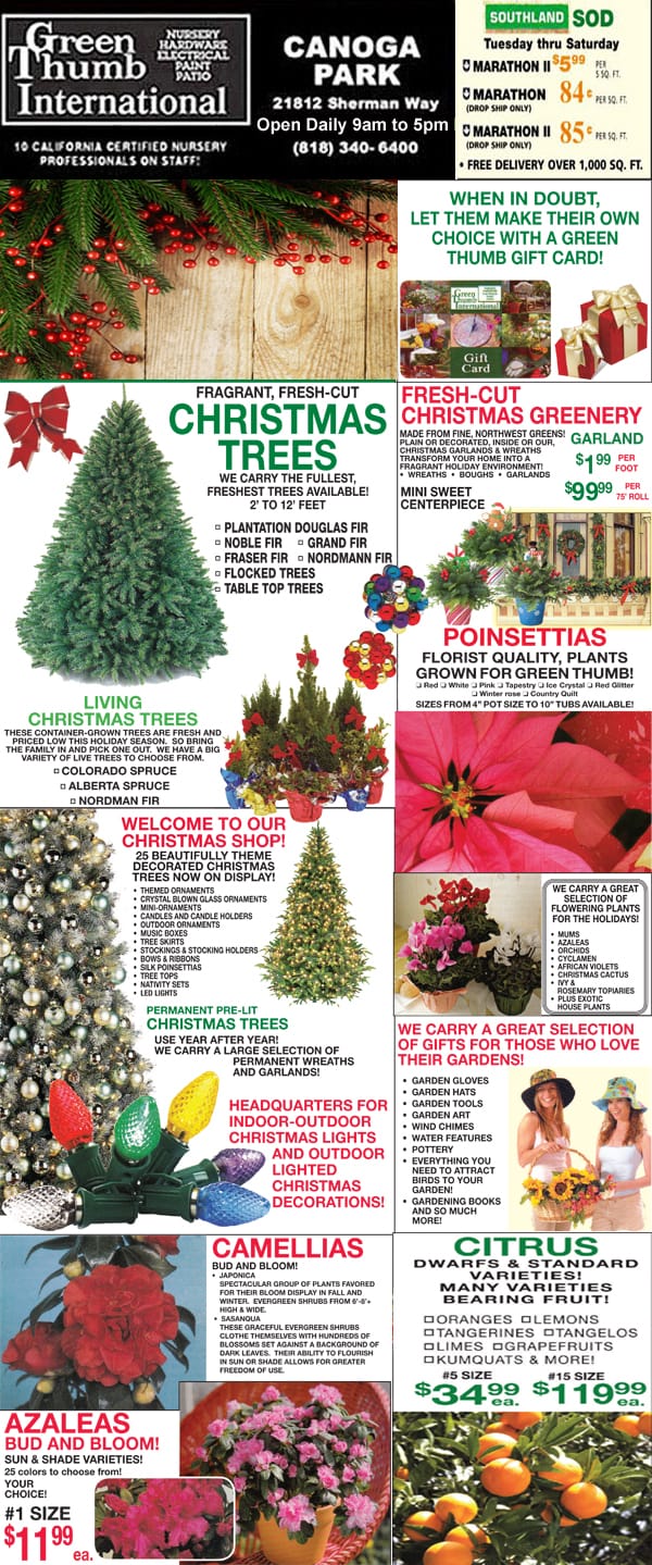 A festive Christmas flyer showcasing a diverse selection of flowers and plants from a top-notch nursery near me.
