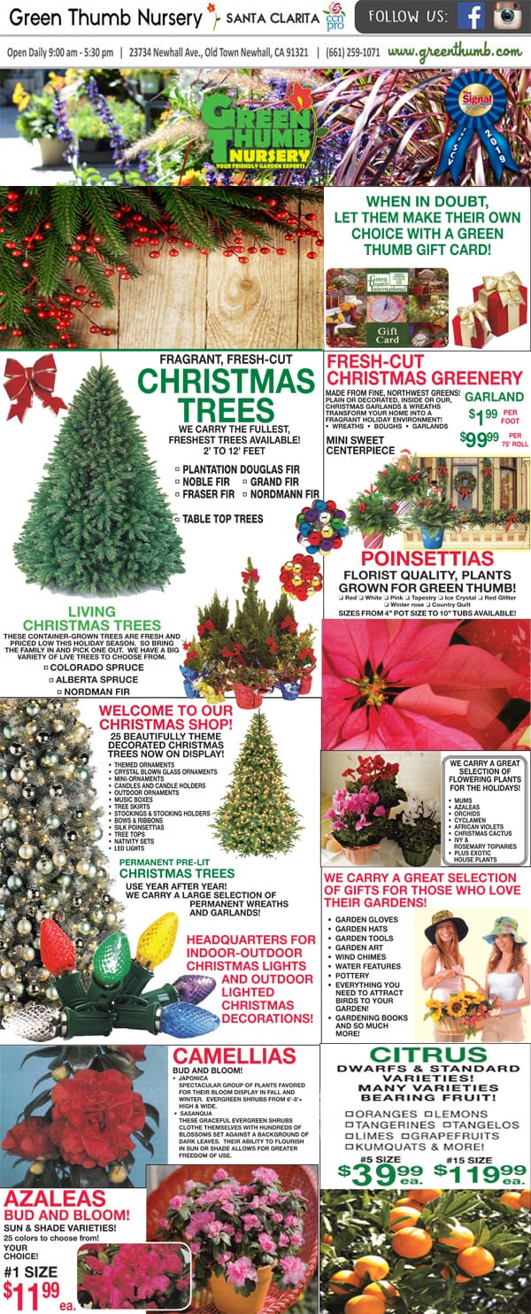 A flyer for a SoCal garden center with Christmas trees.