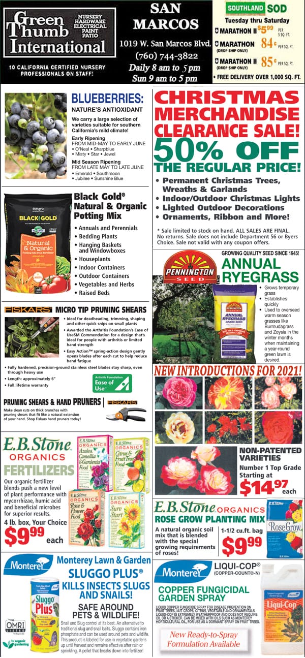 The front page of a newspaper featuring the best nursery near me's Christmas sale.