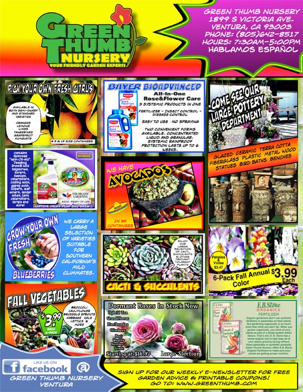 A flyer for the best nursery near me.