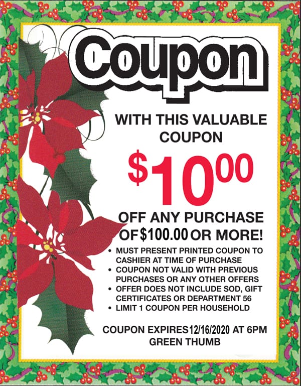 A coupon with poinsettias from the best garden center near me.