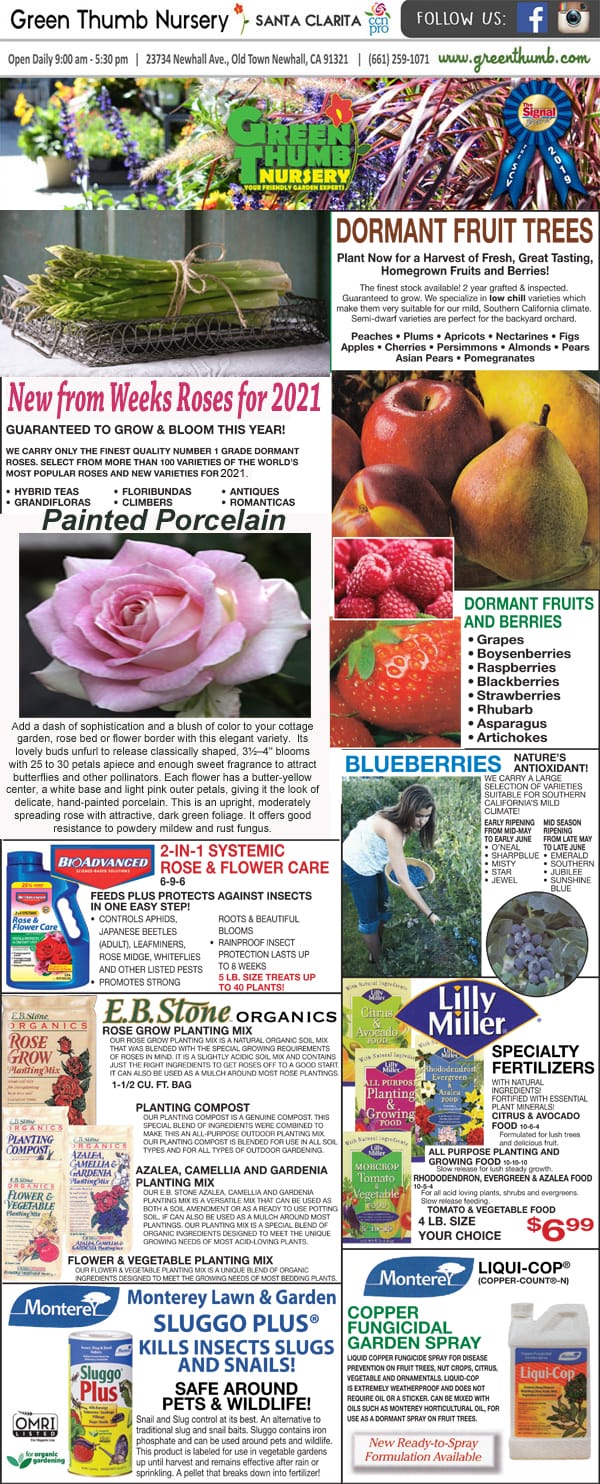 The front page of a newspaper featuring a vibrant array of fruits and vegetables from the best nursery near me.