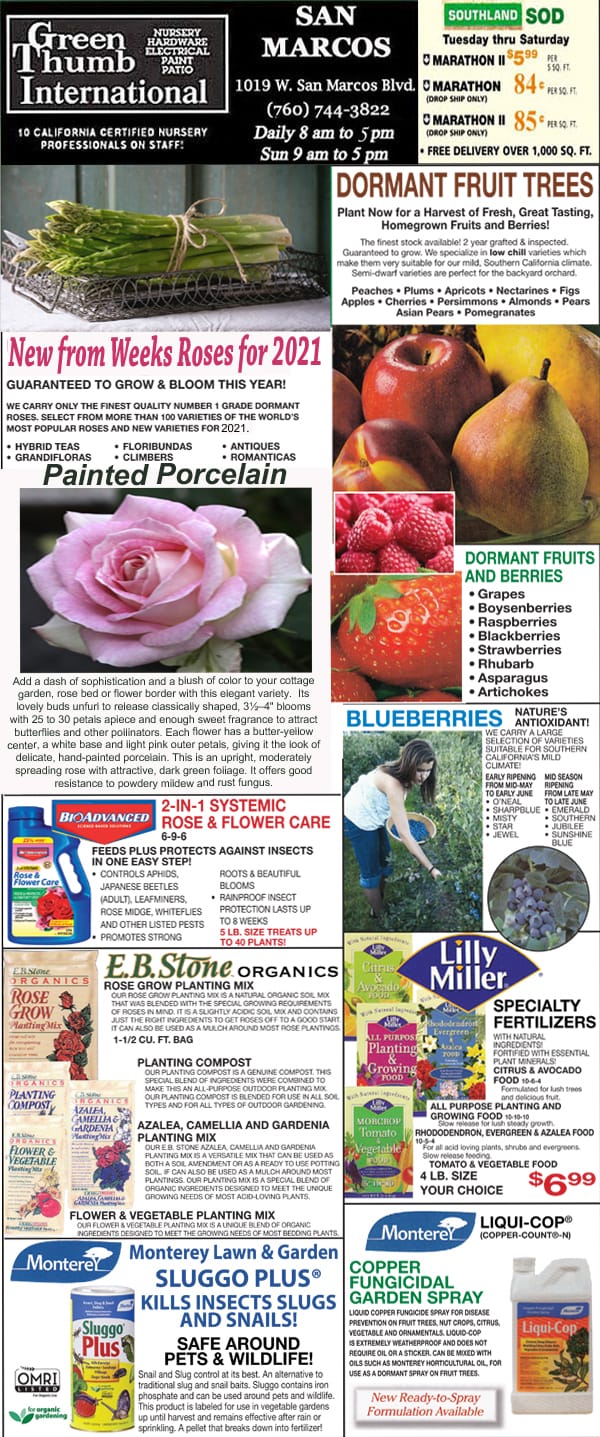 The front page of a newspaper featuring a vibrant display of fruits and vegetables from the best garden center near me.