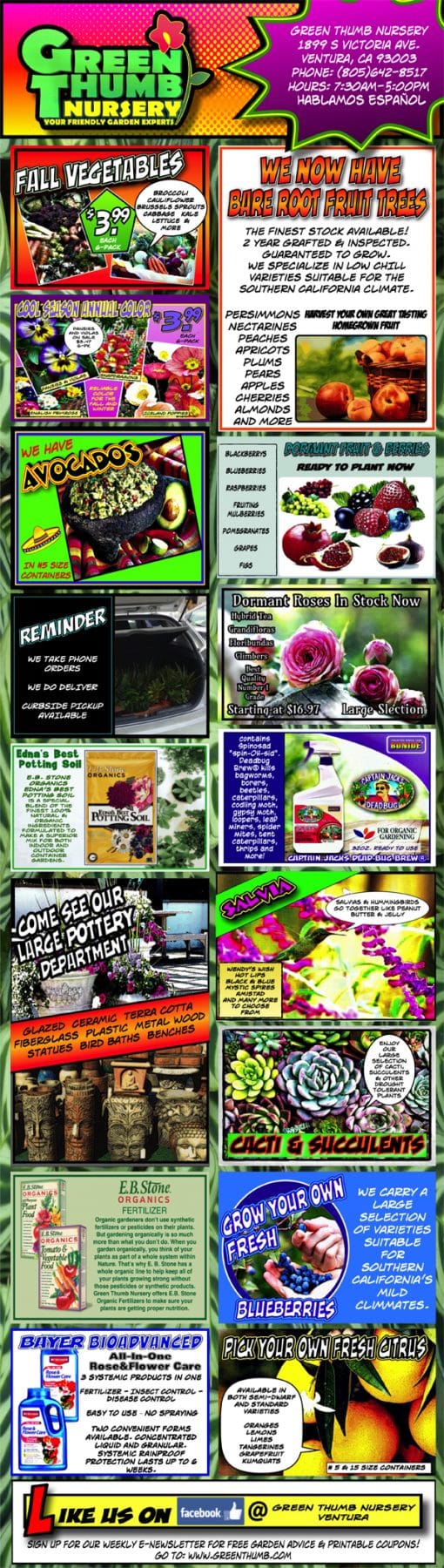 A flyer showcasing a diverse selection of plants from the best garden center near me.