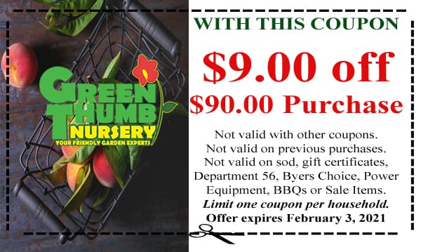 Green 9 % off nursery purchase at a garden center near me.