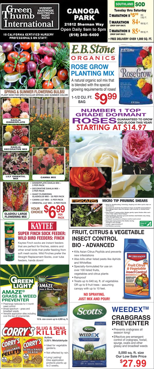 The front page of a newspaper showcasing the best nursery near me.