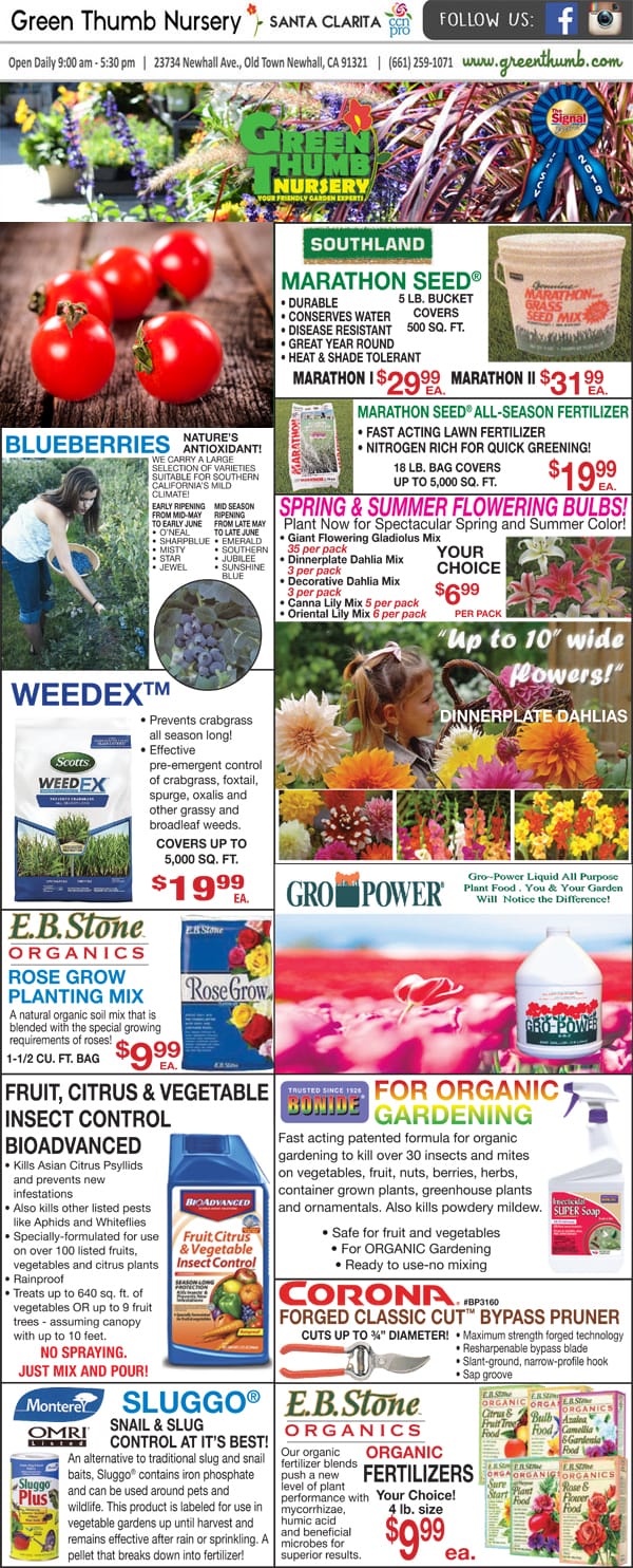 The front page of the gardener's journal showcasing the best nursery near me.