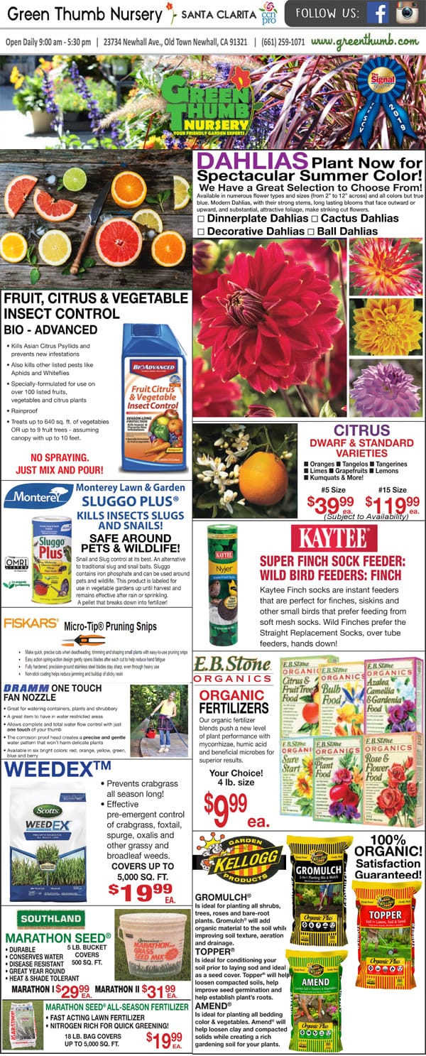 The best garden center near me featuring a nursery, showcasing the front page of the gardener's journal.