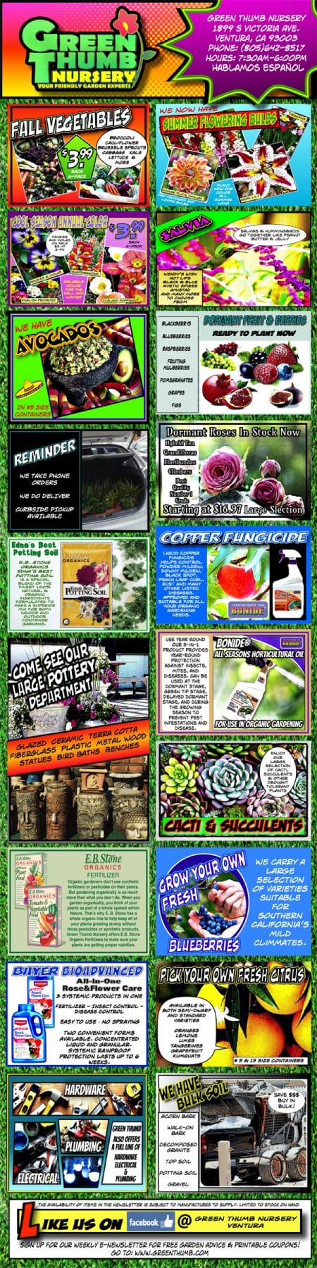 A stunning front page showcasing a diverse array of plants from the best nursery near me.