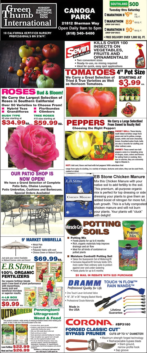 A colorful front page of a newspaper featuring plants and flowers from a garden center near me.
