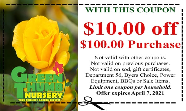 A yellow rose with a coupon for a $100 off purchase available at the best garden center near me.