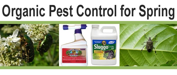 Organic pest control for spring available at a socal garden center near me.