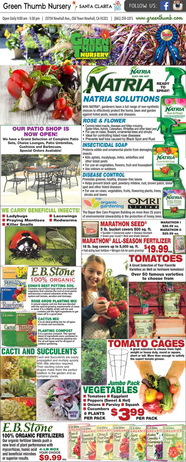 The front page of the natisia gardener, featuring the best nursery and garden center near me.