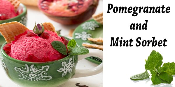 Pomegranate and mint sorbet from the best Socal garden center.