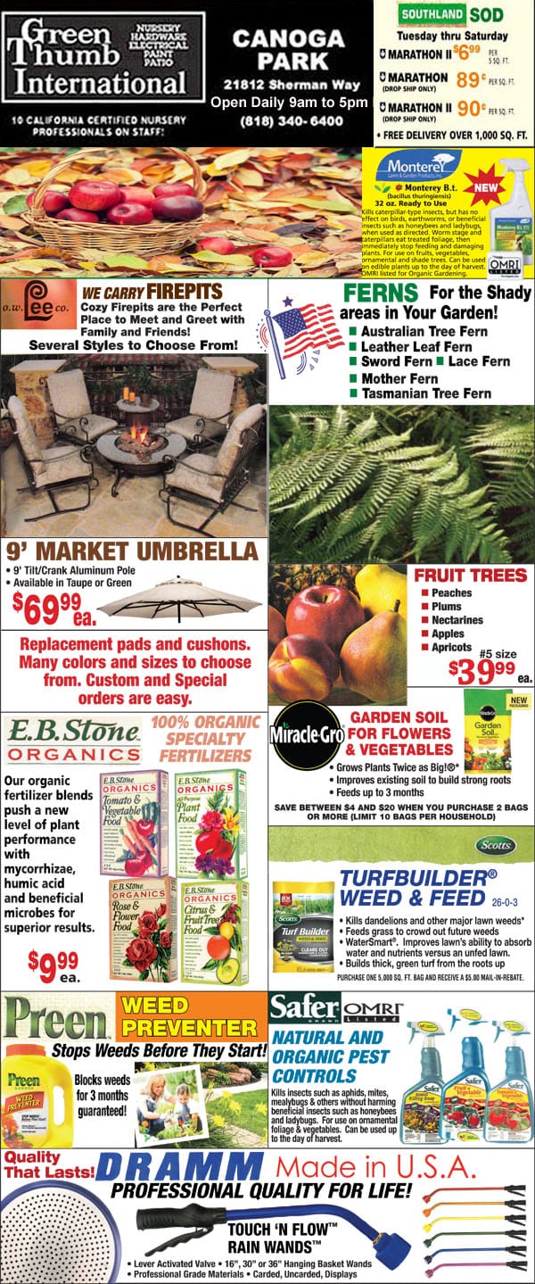 A flyer with a variety of products on it.