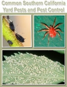 Common southern california yard pests and pest control at the best garden center near me.