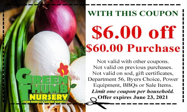 A best garden center near me with a green nursery flourishing with onions.