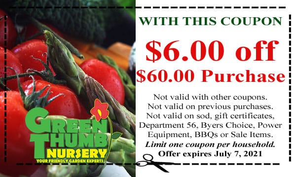 Green thing nursery coupon near me.
