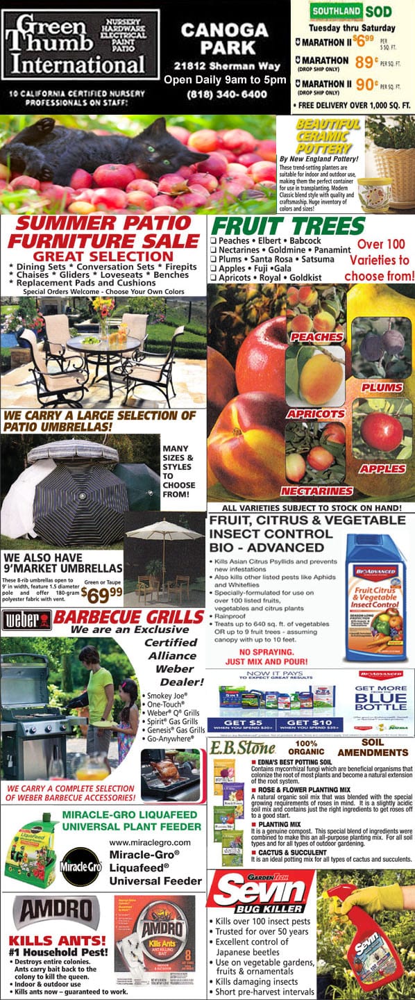 A vibrant front page of a newspaper featuring a diverse array of fruits and vegetables from the best garden center near me.