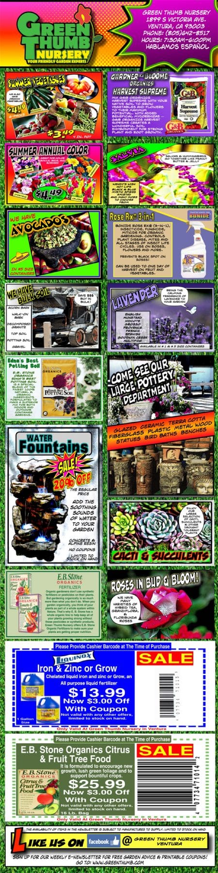 Visit the best garden center near you for a diverse selection of plants and supplies.