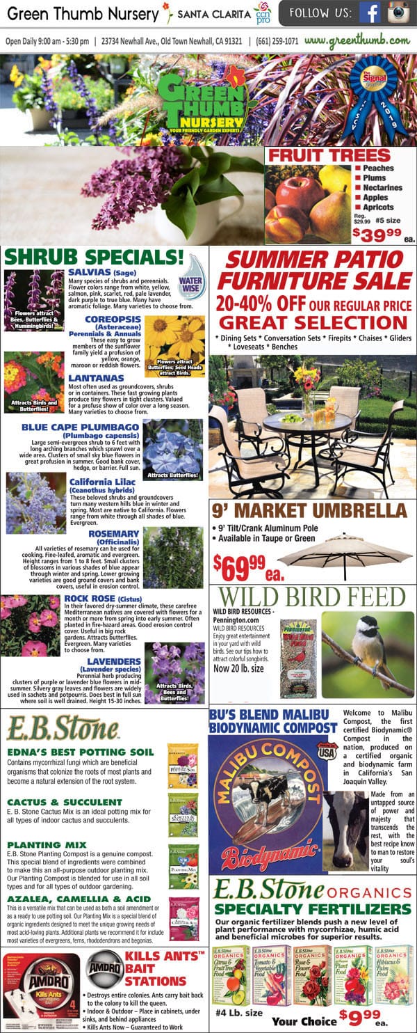 The front page of a newspaper showcasing the picturesque display from the best garden center near me.