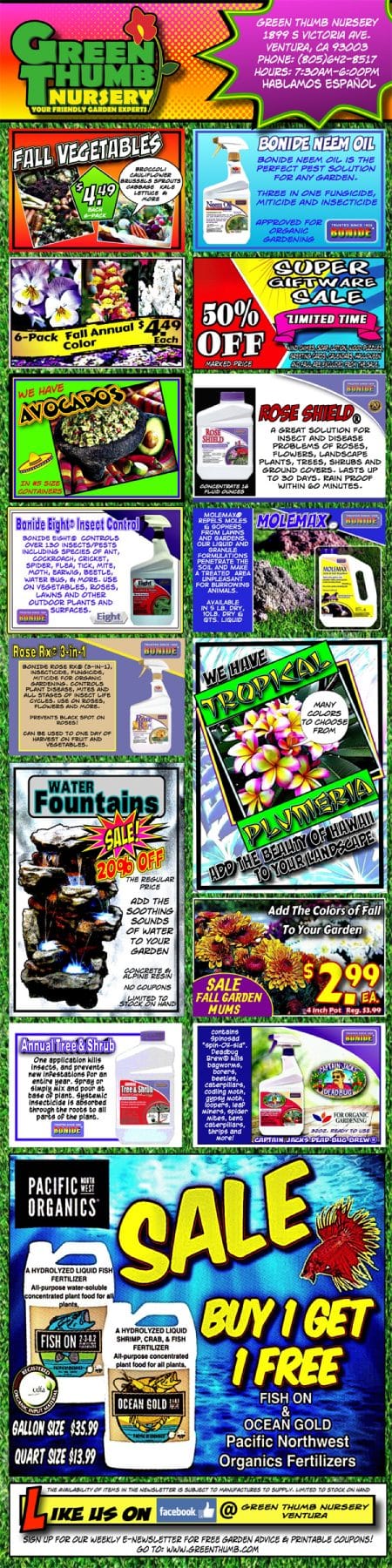 A flyer showcasing a diverse range of items from the best nursery near me.