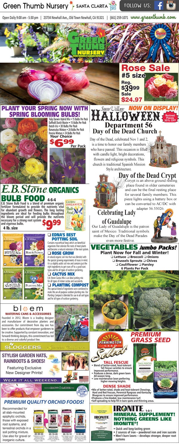 The front page of a newspaper featuring a variety of vegetables from the best nursery near me.