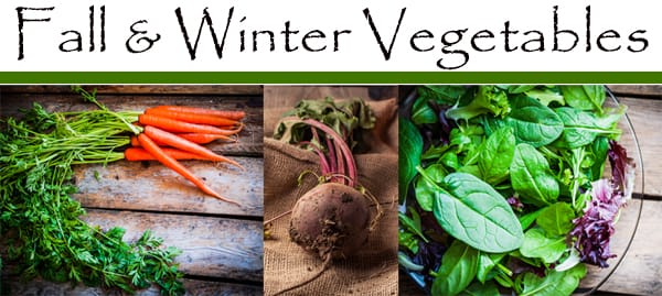 Fall and winter vegetables at the best nursery near me.