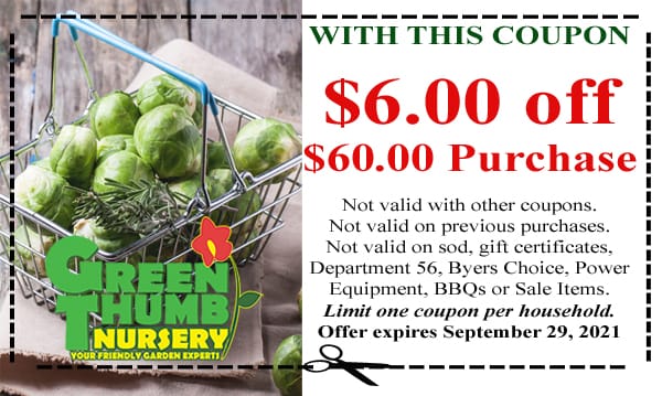 A green nursery coupon with a basket of brussels sprouts for the best nursery near me.